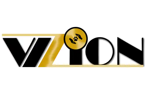 vision-z.de